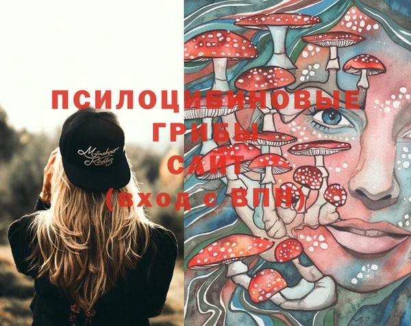 шишки Аксай