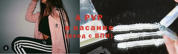 шишки Магас