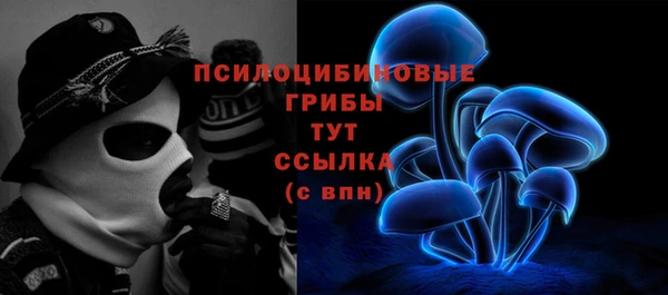 СК Верея
