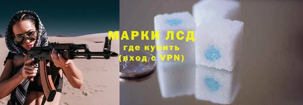 шишки Магас