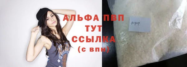 СК Верея