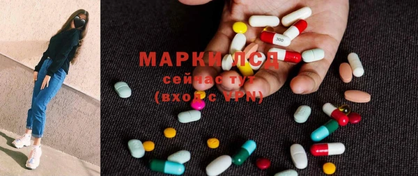 прущие грибы Алагир