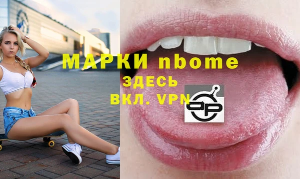 индика Вяземский