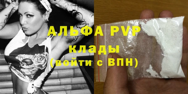 шишки Магас