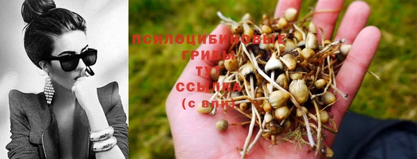 шишки Аксай
