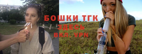 шишки Магас